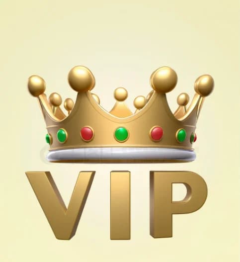 Lien VIP pour la personnalisation