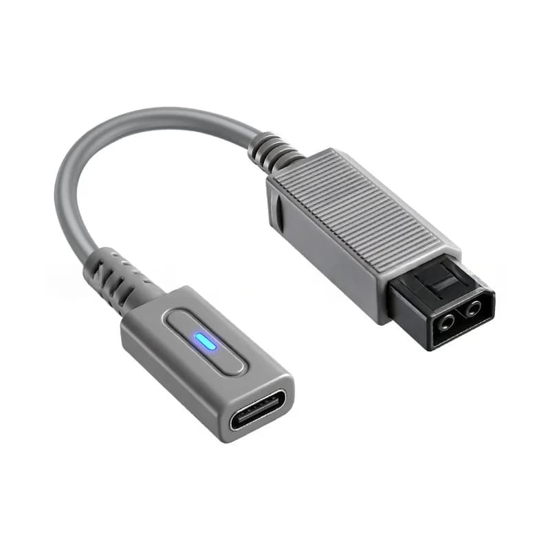 Câble adaptateur de conversion Type-C de 0,12 m pour console de jeu Wii, chargeur d'alimentation PD,