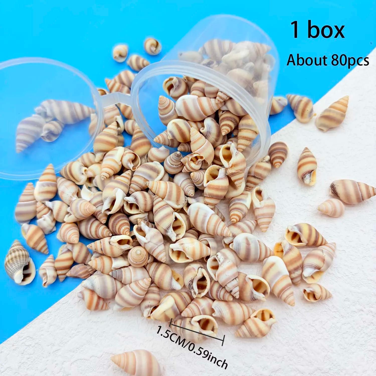 1 boîte de mini coquillages, petites coquilles de plage, coquilles de baleineaux pour loisirs créati