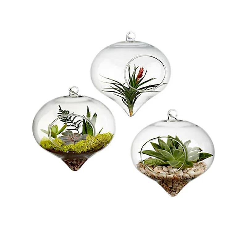 Vase à Boules de Verre de 11x9cm pour Décoration de Mariage, Terrarium, Conteneur, Pots